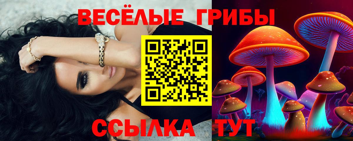 Кстово  Псилоцибиновые грибы мицелий  Вход с VPN 