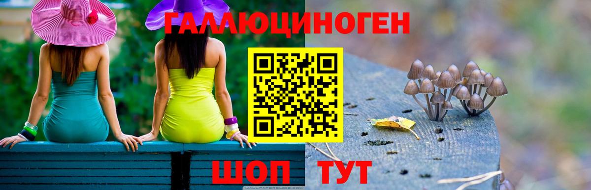 Галлюциногенные грибы Magic Shrooms Кстово